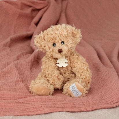Ours en Peluche Beige - 25 cm Histoire d'ours