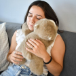 Peluche Ours marron lesté - 40 cm - Podcoll d'ours