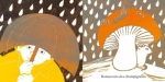 Voilà l'automne – livre tout-carton – Seuil Jeunesse