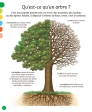 L'imagerie – La forêt – Fleurus
