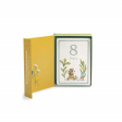 Cartes Mes 12 premiers mois Trois petits lapins (30 cartes) Moulin Roty