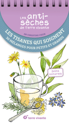 Les antisèches de Terre Vivante LES TISANES QUI SOIGNENT - 30 MELANGES POUR PETITS ET GRANDS