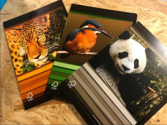 Cahier A4 - Animaux WWF - Commercial