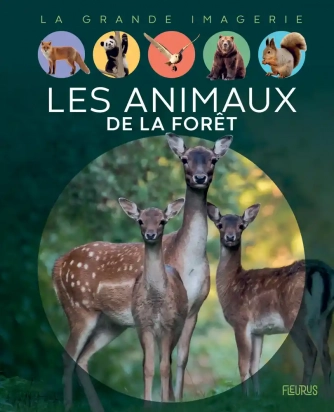 La grande imagerie Les animaux de la forêt Fleurus