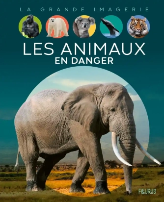 La grande imagerie Les animaux en danger Fleurus