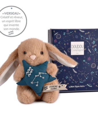 DOUDOU ASTRO Verseau - 12 cm Doudou et compagnie