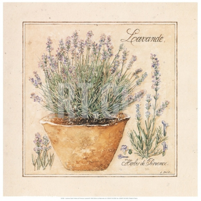 Carte postale Herbes de Provence Lavande - Laurence David