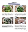 Stratégie anti-bestioles au jardin - Zéro difficulté, zéro pesticide, zéro dépense J. Gis Rustica éditions