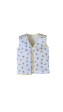 Gilet bouée Swim Jacket Beachbal 2-4 ans – JeP Kids