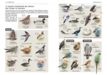 Tous les oiseaux d'Europe - Grand Format Aurélien Audevard, Frédéric Jiguet  Delachaux