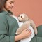 Peluche lestée Paresseux Podcoll 50 cm – Histoire d'Ours