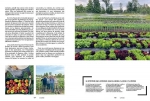 Microfermes - Le maraîchage bio à échelle humaine - Grand Format Jean-Martin Fortier, Aurélie Sécheret Delachaux
