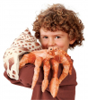 Marionnette Folkmanis hand puppet hermit crab Folkmanis