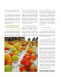 Le traité Rustica des arbres fruitiers - Grand Format Daniel Brochard, Jean-Yves Prat