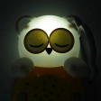 Sweet Dreamz On the Go™ - veilleuse hiboux