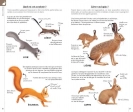 Reconnaître facilement les animaux - Poche Marc Giraud, Florence Dellerie