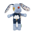 Peluche phosphorescente et livre en tissu Jules le chien Lilliputiens