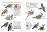 Tous les oiseaux d'Europe - Grand Format Aurélien Audevard, Frédéric Jiguet  Delachaux
