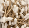 Coton tige silicone réutilisable Graine de Malice