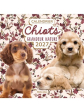 Calendrier Chiots grandeur nature 2027 - Rustica