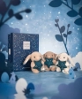 DOUDOU ASTRO Capricorne - 12 cm Doudou et compagnie