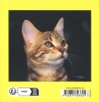 L'agenda du chat 2026