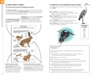 Reconnaître facilement les animaux - Poche Marc Giraud, Florence Dellerie