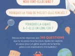 Mon maxi-livre des pourquoi ? - Toutes les réponses aux 365 questions que tu te poses Yiannis Lhermet