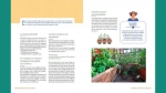 Permaculture au balcon - Actions et astuces pour lancer votre projet et cultiver votre potager - Grand Format Aurélie Drif