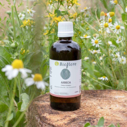 Arnica - Macerât huileux bio - 100 ml - Bioflore