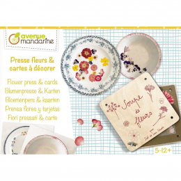 Boîte créative, Pressefleurs et cartes postales à décorer Avenue Mandarine