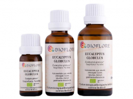 Eucalyptus Globulus 10 ml ( Aniba Rosaeodora bio certisys ) - Bioflore