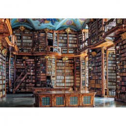 Puzzle 1000 pièces bibliothèque monastere st Floriani Wilson jeux