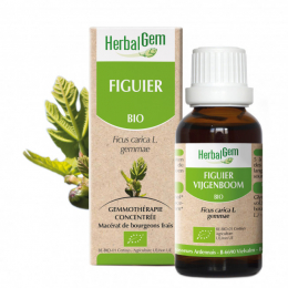 Macerat Figuier 50 ml HerbalGem