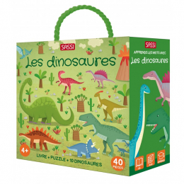 Q-box - Les Dinosaures Sassi