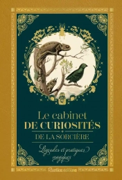 Petit précieux Cabinet de curiosités de la sorcière. Légendes et pratiques magiques - Légendes et pratiques magiques - Poche