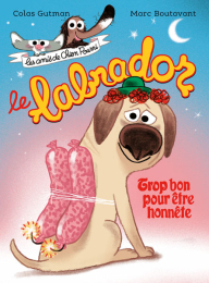 Le labrador de Colas Gutman et Marc Boutavant – livre jeunesse L'école des loisirs – Moulin Roty