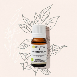 Ravintsara 10 ml ( Cinnamomum camphora cineoliferum bio certisys ) - Bioflore