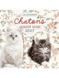Calendrier Chatons grandeur nature 2027 - Rustica