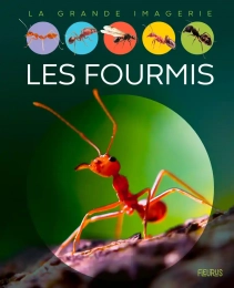 La grande imagerie Les fourmis Fleurus