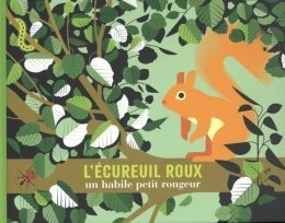L'écureuil roux – un habile petit rongeur – Amaterra