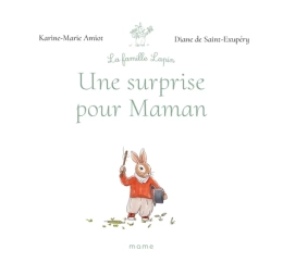 Une surprise pour Maman - Karine-Marie Amiot - Mame