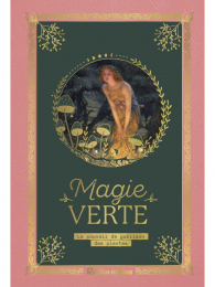 Magie verte - Le pouvoir de guérison des plantes - Grand Format Sara Lapointe