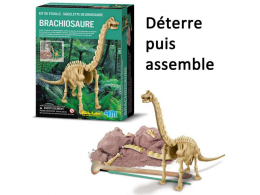 Dinosaure Brachiosaure à déterrer - 4M